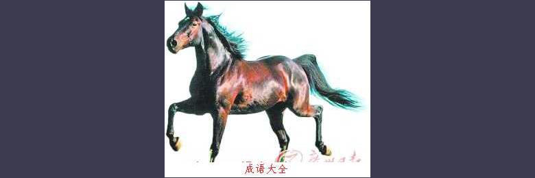 带有马的成语故事:率马以骥